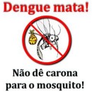 Combate à dengue!
